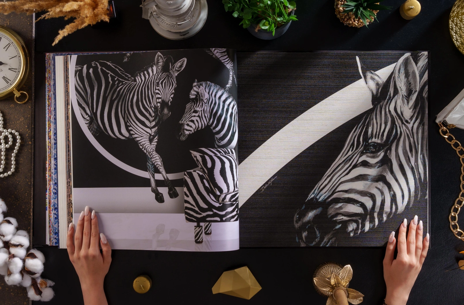 Dolce & Gabbana Casa galéria